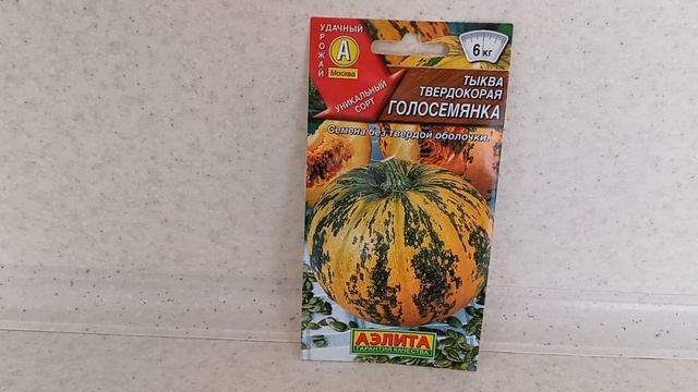 Уникальный сорт тыквы- ГОЛОСЕМЯНКА.Аптека в миниатюре.23.02.2022 смотреть онлайн