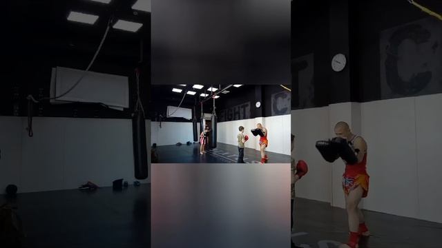 щёлково. богородский. тайский бокс. #muaythai #тайскийбокс #gym #муайтай #myaithai #щелково смотреть онлайн