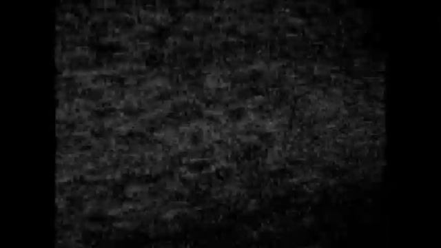 Alocasia Garden - Burning The Flags (II) смотреть онлайн