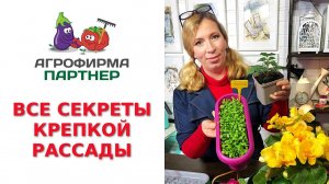 ВСЕ СЕКРЕТЫ КРЕПКОЙ РАССАДЫ