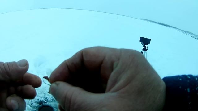 Съездили за Северным налимом смотреть онлайн