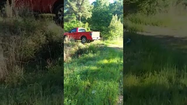 Redneck deer hunting #1 смотреть онлайн