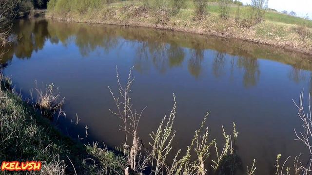 РЕКА АШИТ смотреть онлайн