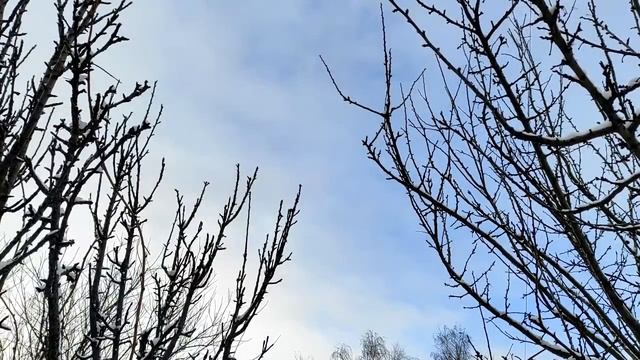 Как эгоисты ведут себя в отношениях. смотреть онлайн