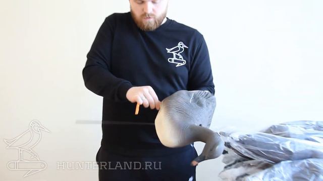 КОМПЛЕКТ ТАЁЖНЫЙ ГУМЕННИК, 