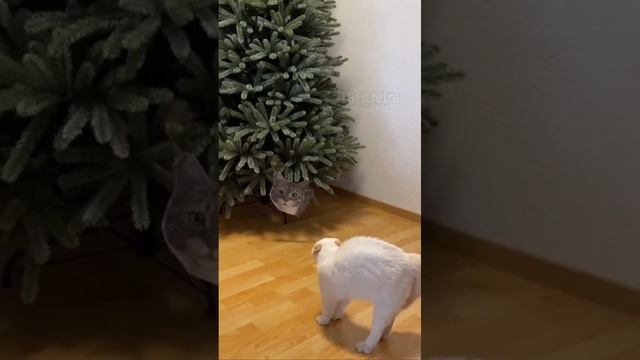 Как уберечь елку от кота))) смотреть онлайн