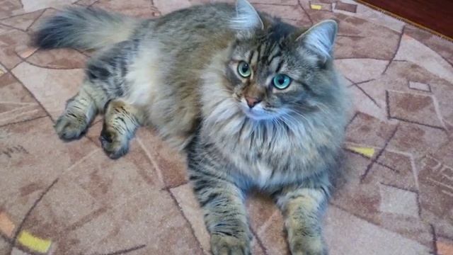 HEADSHOT - GOLD BOY (official Audio)