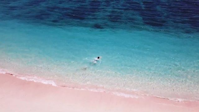 Komodo Island HD смотреть онлайн