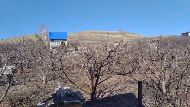 Первые работы на даче весной/ 2023г./ смотреть онлайн