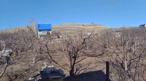 Первые работы на даче весной/ 2023г./