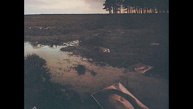 Shame On The Devil - David Coverdale