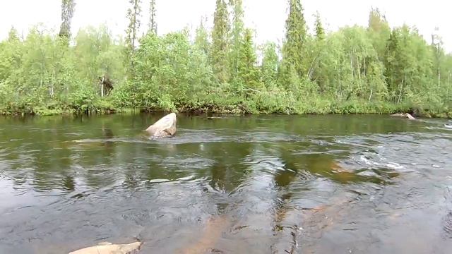 рыбалка кольский