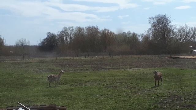 Беатрис смотреть онлайн