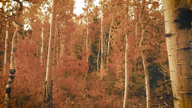 Твое имя свято • Атмосферная Музыка • Музыка Без Слов смотреть онлайн