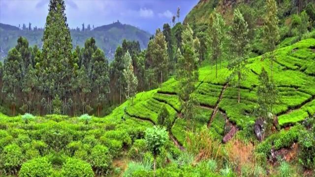 Аранжировка к мелодии из фильма Господин 420.mp4 смотреть онлайн