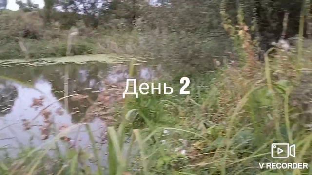 Рыбалка на поплавок на реке Рать | Есть улов! смотреть онлайн