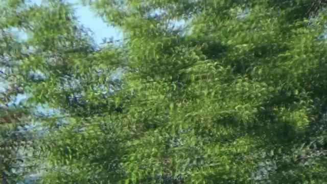 Дача после грозы смотреть онлайн