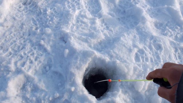 Рыбалка на Свияге (28.01.22 г.) смотреть онлайн