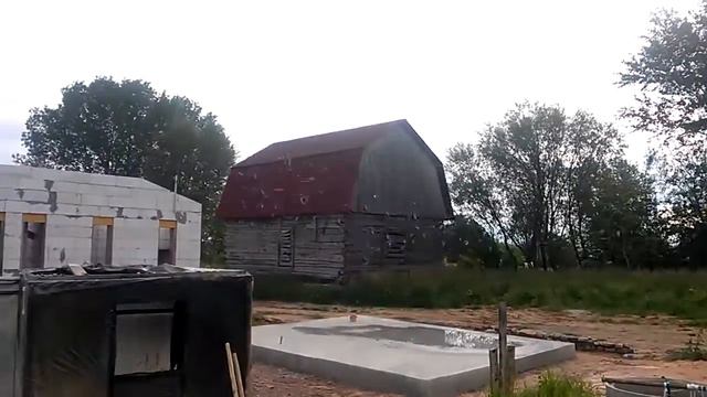 История птиц смотреть онлайн