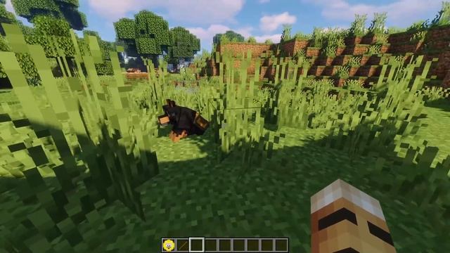 5 Mods de Animales para Minecraft 1.14.4 смотреть онлайн