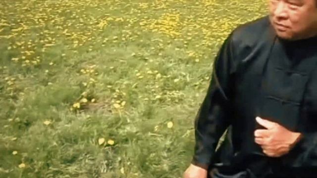 Илицюань | Грандмастер Чин Фансён / Iliqchuan | Grandmaster Sam F. S. Chin смотреть онлайн