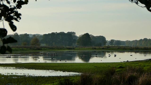 Johann Kaspar Mertz: Notturno Op. 4 Nr. 1 смотреть онлайн