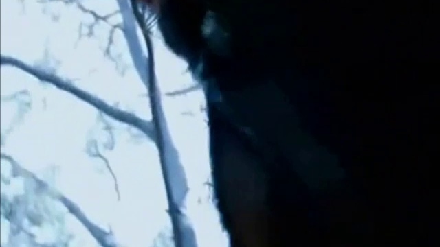 Depeche Mode - Light - Che (LSd Video)