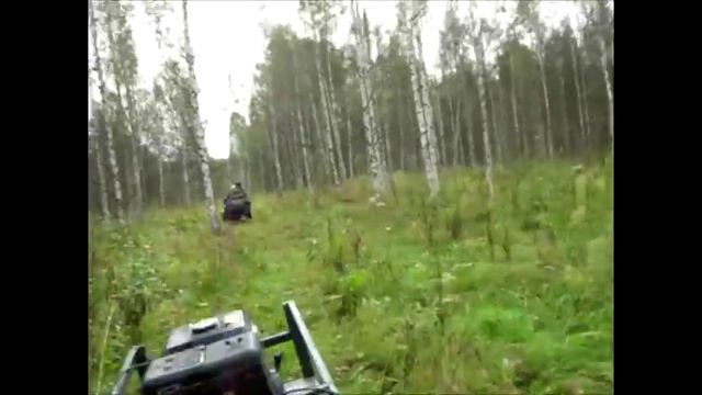 На собаках по тайге.