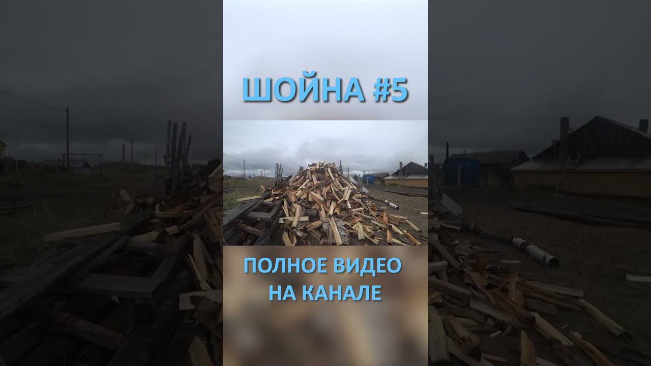 ШОЙНА SHOYNA 5 SHORTS #SHORTS смотреть онлайн