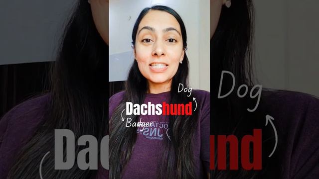 It's Dachshund not Dashund ❌ Learn Right pronunciation смотреть онлайн