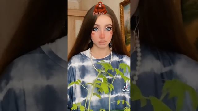 ✨Лия Стеффи✨ Сериал 🦧 смотреть онлайн