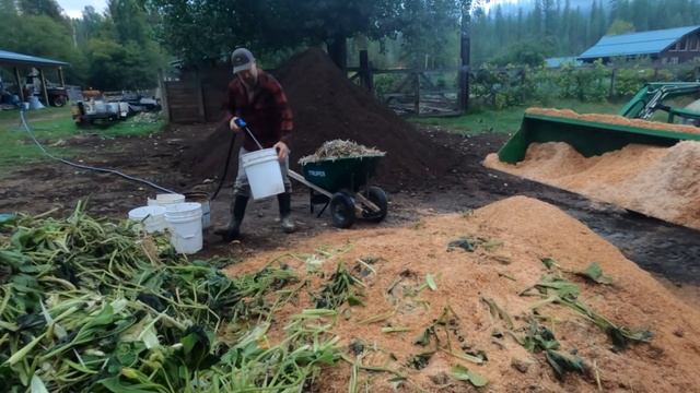 MEAT in Your COMPOST!? | Learn to compost anything!! смотреть онлайн