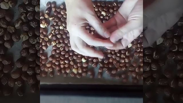 Funduk qabığının təmizlənməsi.(fındık nasıl kavrulur?).( очищение фундука от пленки) смотреть онлайн