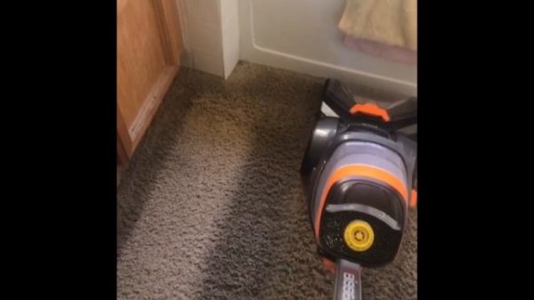 Bissell Big Green VS Bissell Proheat 2x Revolution Pet Pro (ODDLY SATISFYING)