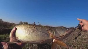 Спиннинг JOHNCOO VIVID и сразу ТРОФЕЙ! Рыбалка на Спиннинг! Катя ловит ЩУКУ на ДЖИГ в ПЕРВЫЙ РАЗ!