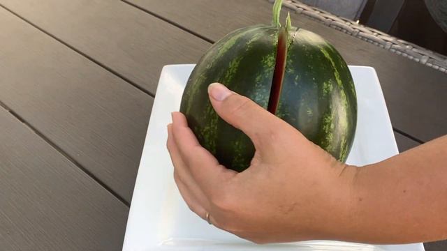 "MINI LOVE" Watermelon: When & How to Harvest & Taste Test смотреть онлайн