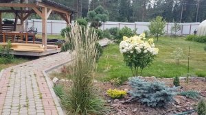 ?Вейник Карл Форестер, красив в любом саду ?