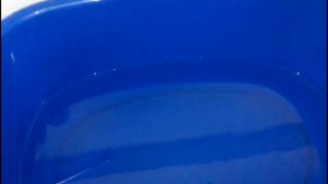 Быстрая реанимация орхидей.  Что я использовала.