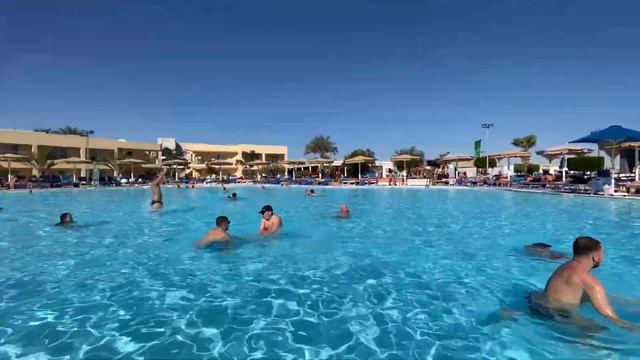 VLOG Плаваем в Бассейне. Египет 2020. ROYAL ALBATROS MODERNA ОТДЫХ В ЕГИПТЕ 5ч.
