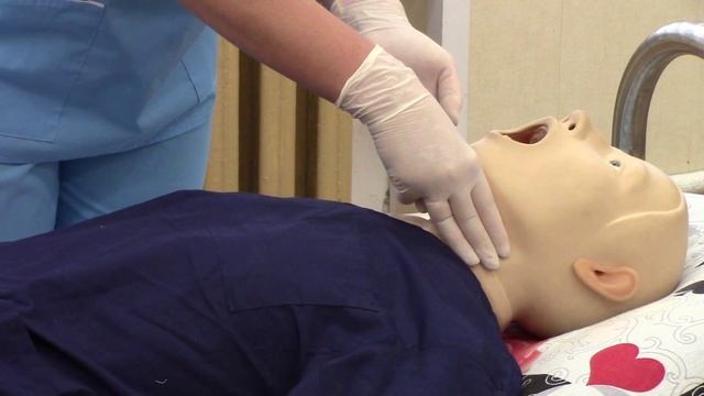 Как определить пульс человека на сонной артерии? смотреть онлайн