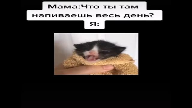 Мама хочет удалить бравл старс , миссия невыполнима! смотреть онлайн