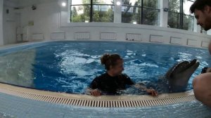 Купание с дельфином в Новосибирске