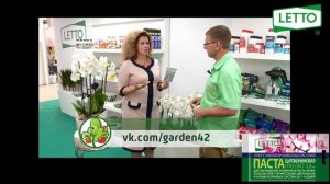 Цитокининовая паста LETTO - суперстимулятор для комнатных цветов