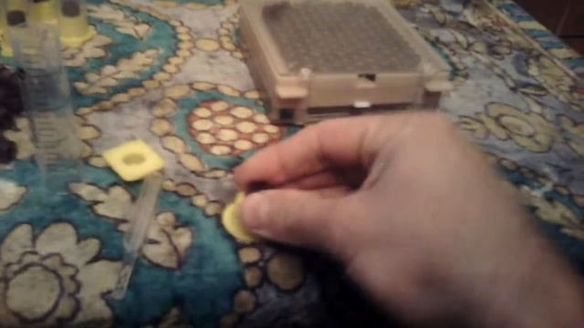 джентерський сот смотреть онлайн