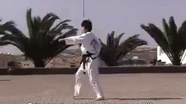 International Taekwondo Federation (ITF) Pattern 1 смотреть онлайн