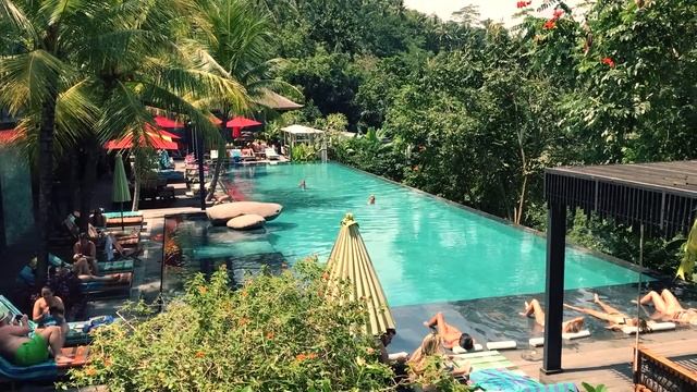 TRAVELLING TO BALI - UBUD part 1 смотреть онлайн