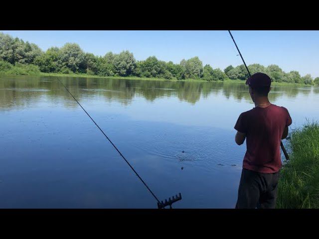 Рыбалка на ОКЕ / Отличный клёв и мощные поклёвки / ФИДЕР УЛЕТАЕТ смотреть онлайн