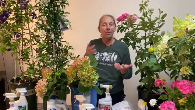July Gardening In The PNW: What To Know, Do, And Watch For