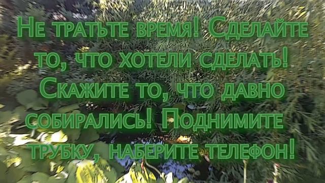 33 секунды осознанности... смотреть онлайн