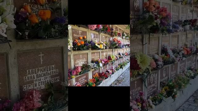 Крематорий СПб смотреть онлайн